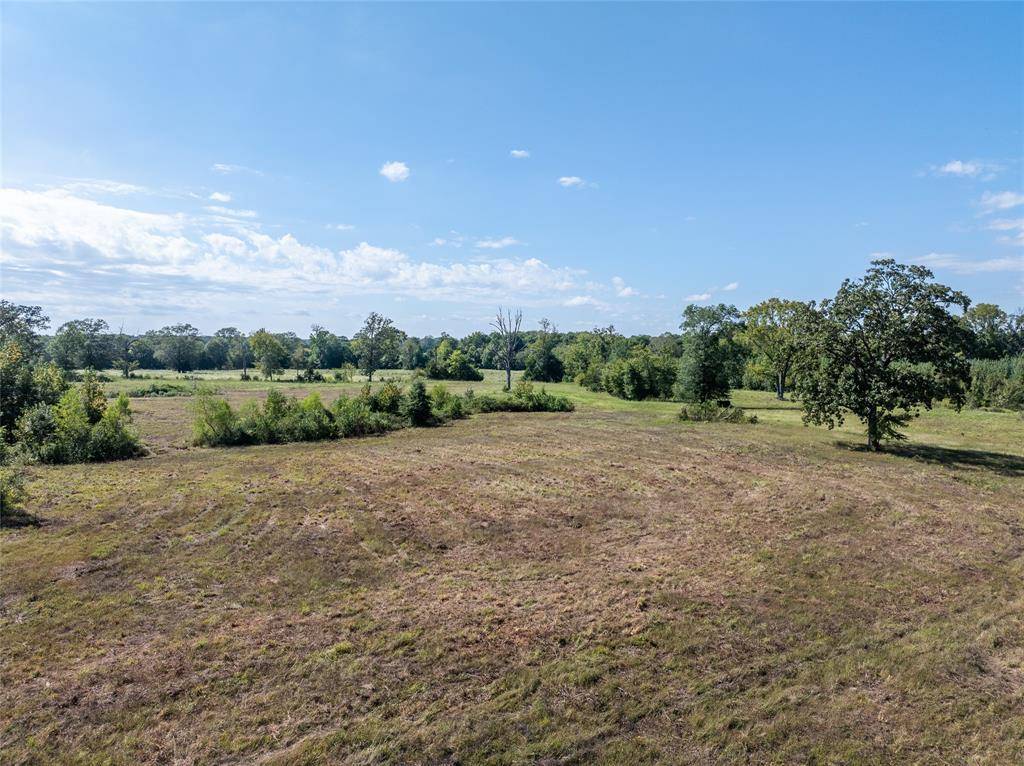 Bagwell, TX 75412,TBD CR 2142