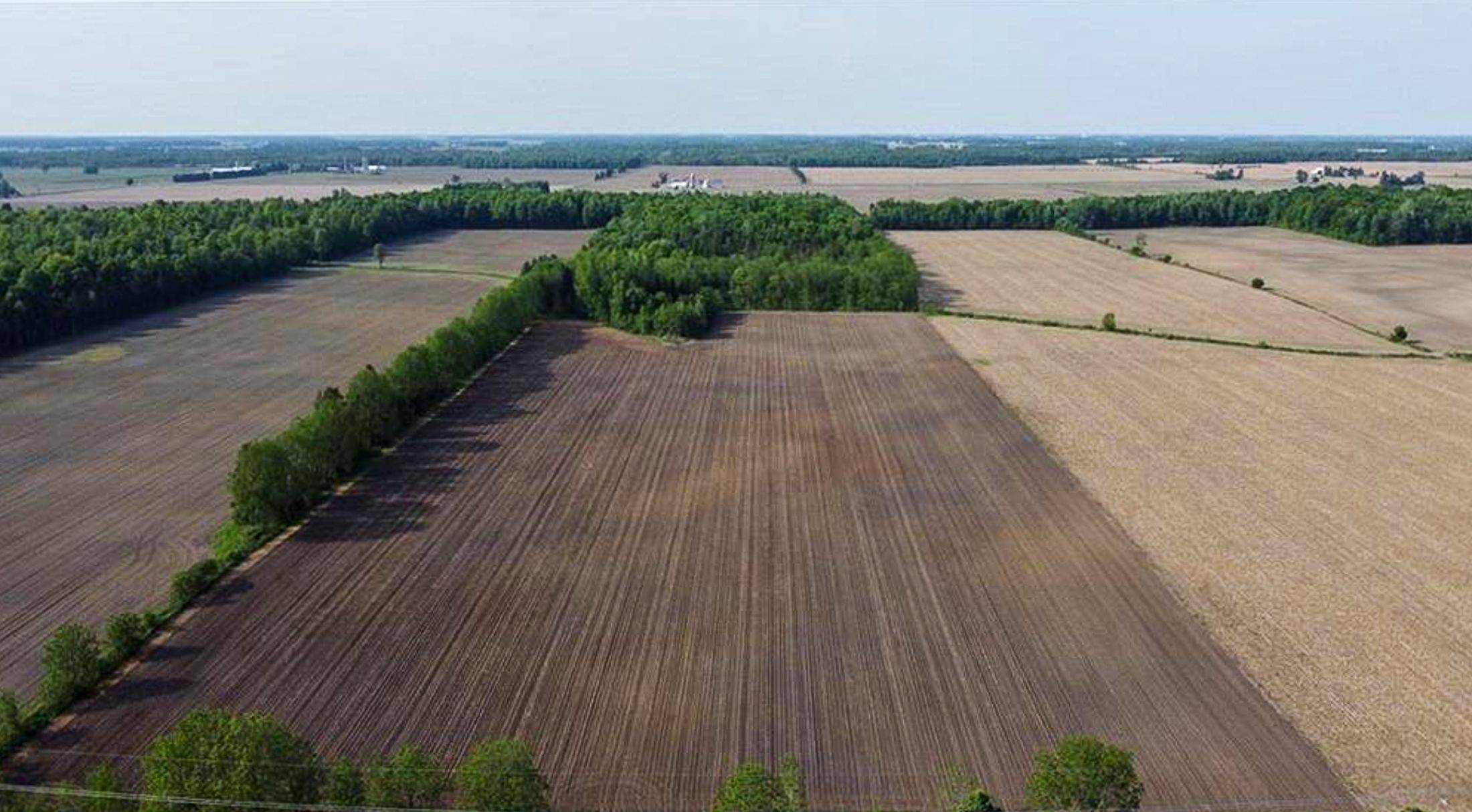 North Middlesex, ON N0M 2K0,27796 Nairn RD