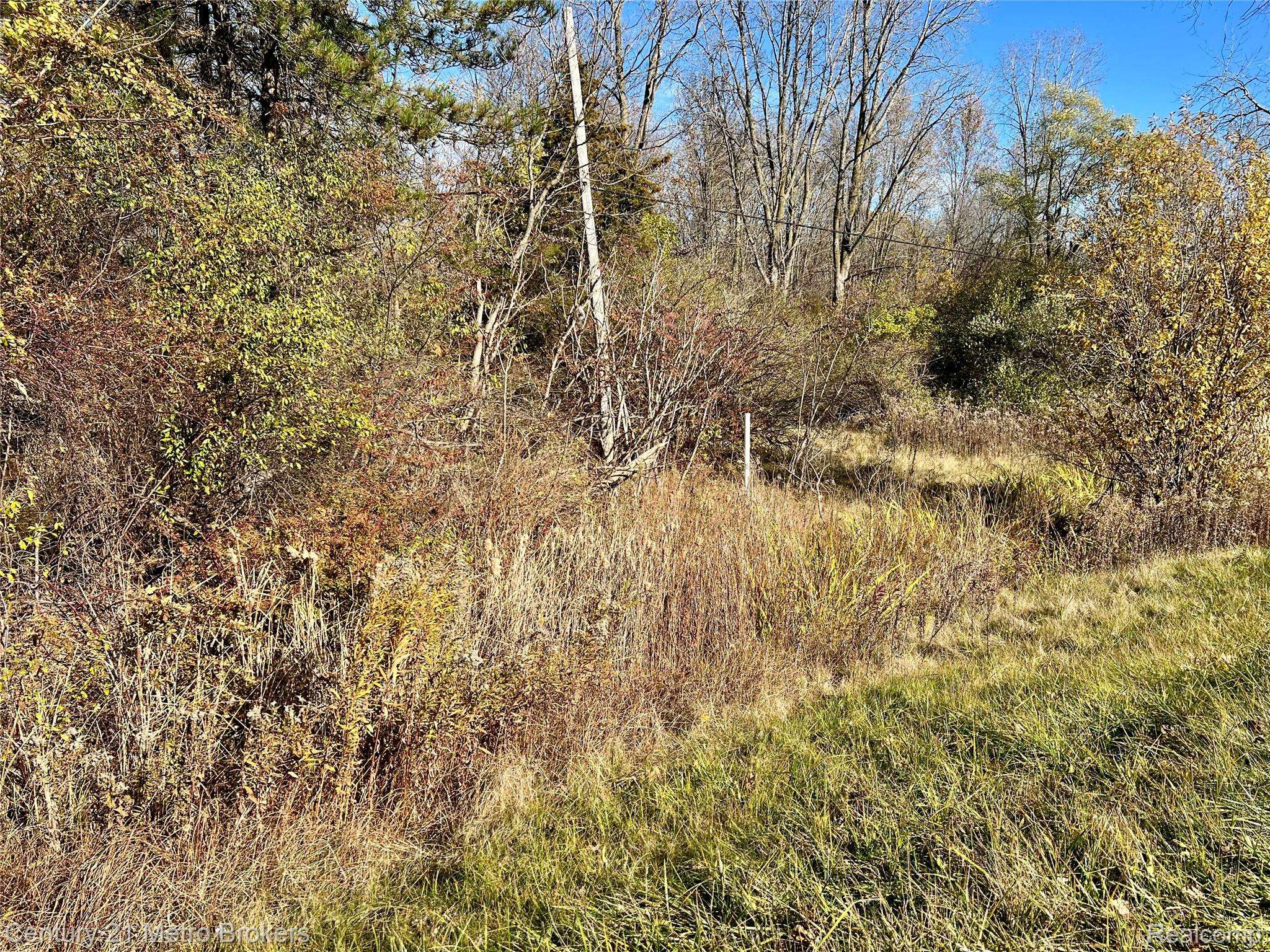 Swartz Creek, MI 48473,0 N Corunna RD