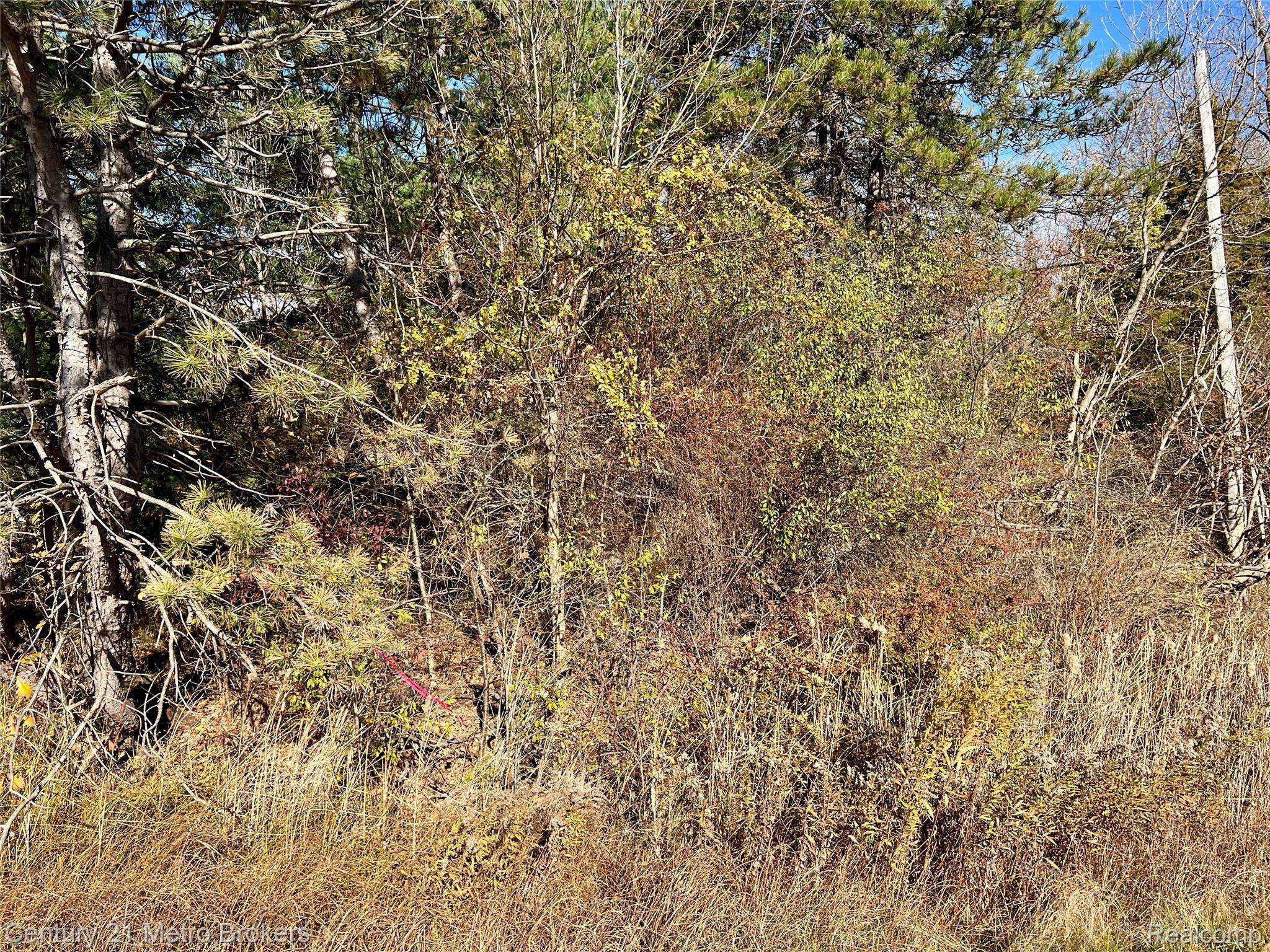 Swartz Creek, MI 48473,0 N Corunna RD