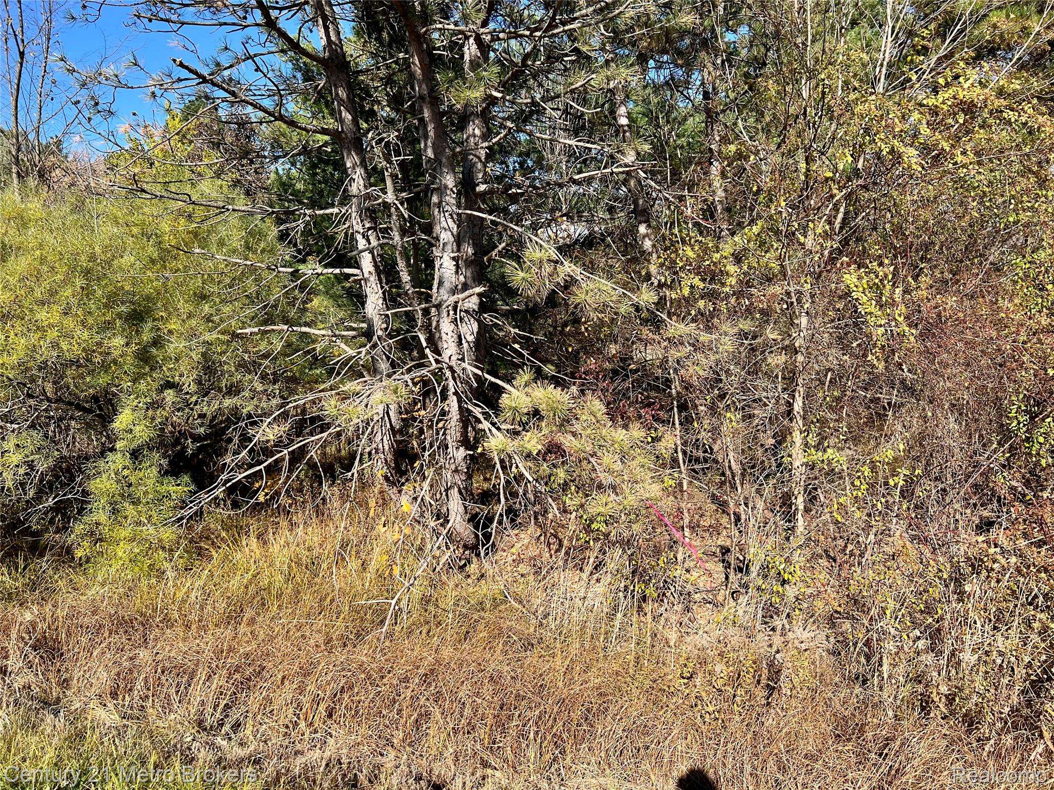 Swartz Creek, MI 48473,0 N Corunna RD