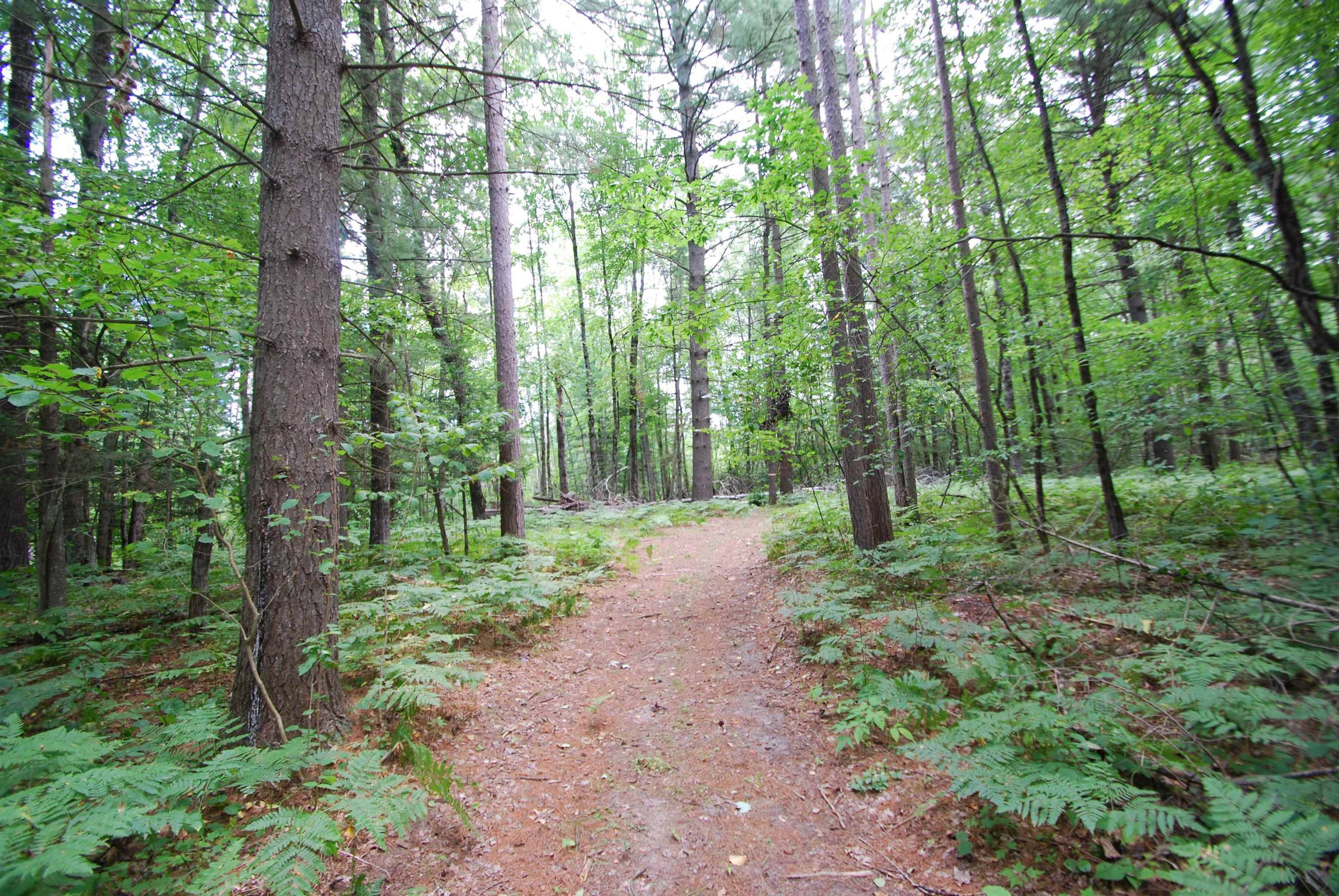 Alger, MI 48610,2782 River RDG