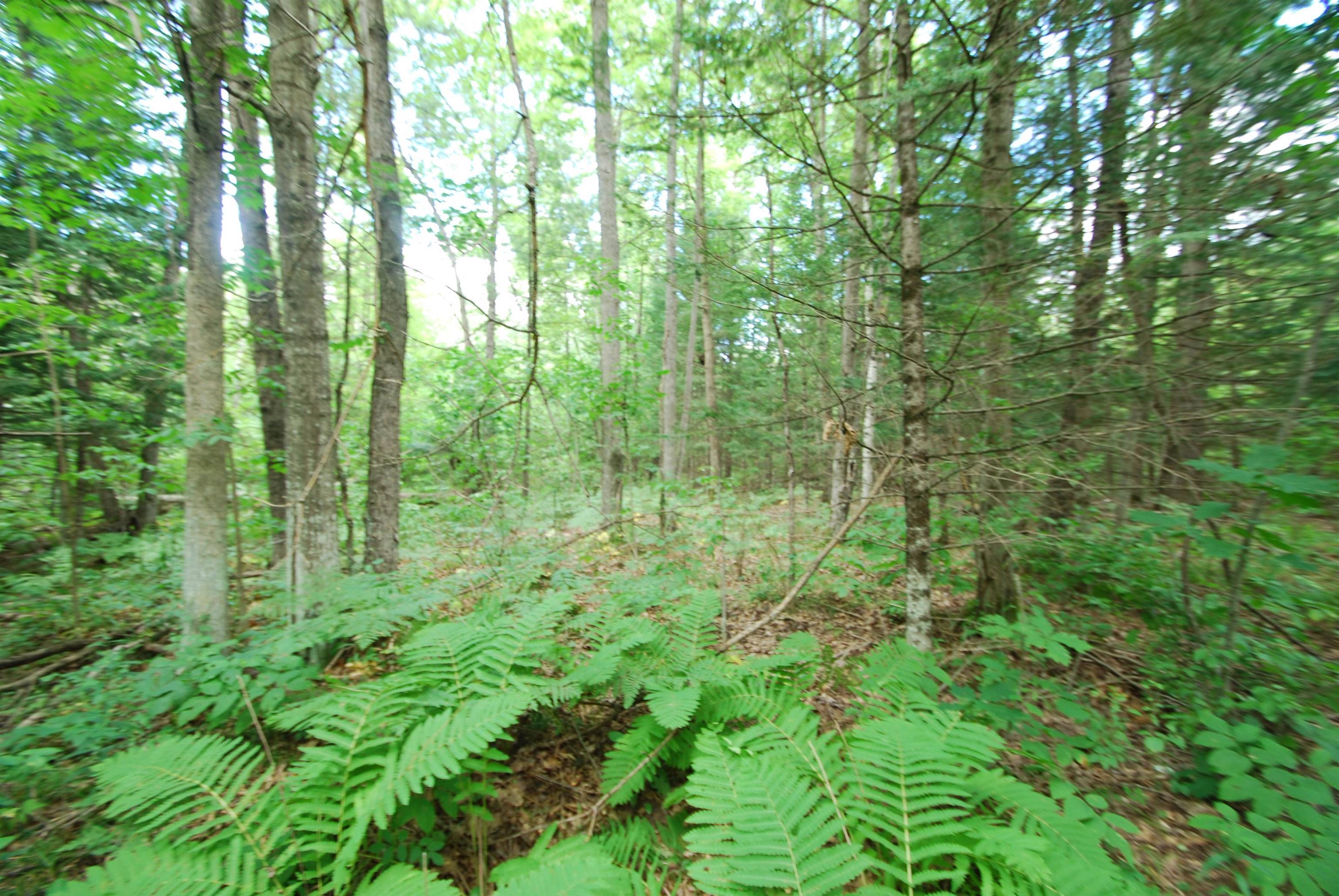 Alger, MI 48610,2782 River RDG