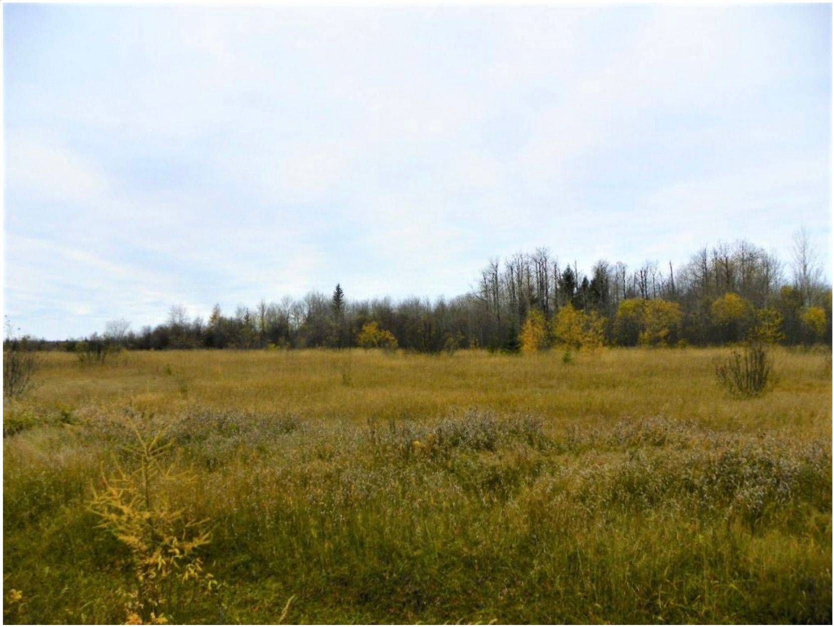 PCL 8479 N/A N/A, Mattice-val Cote, ON P0L 1T0