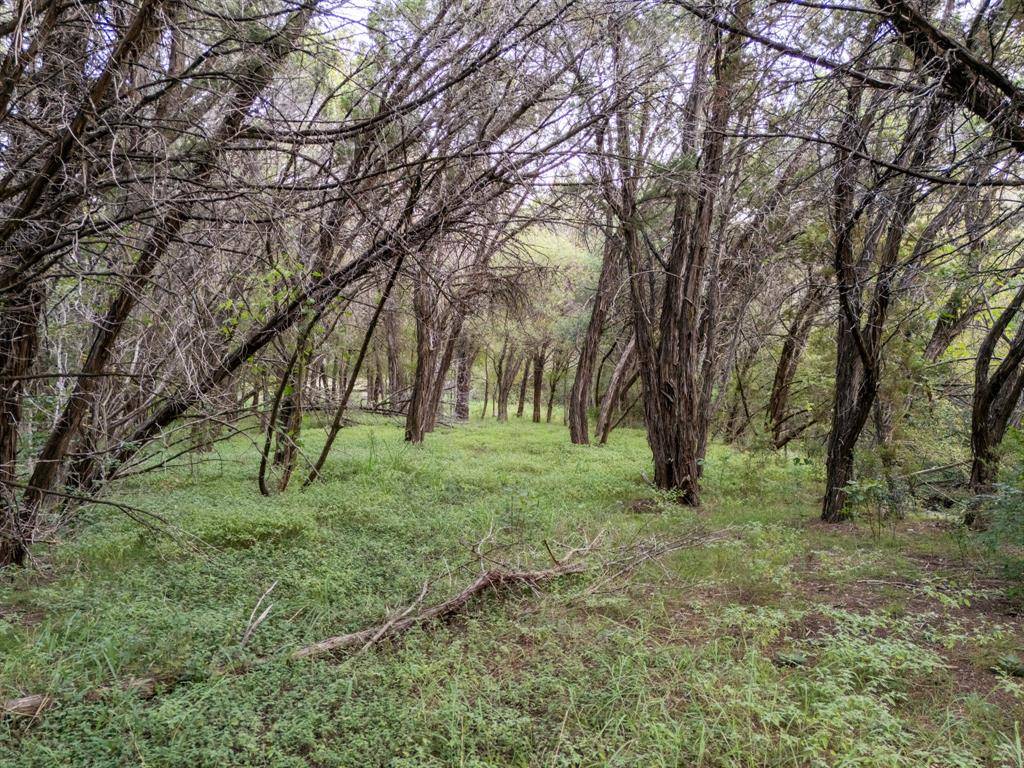 China Spring, TX 76633,TBD Woodland Circle