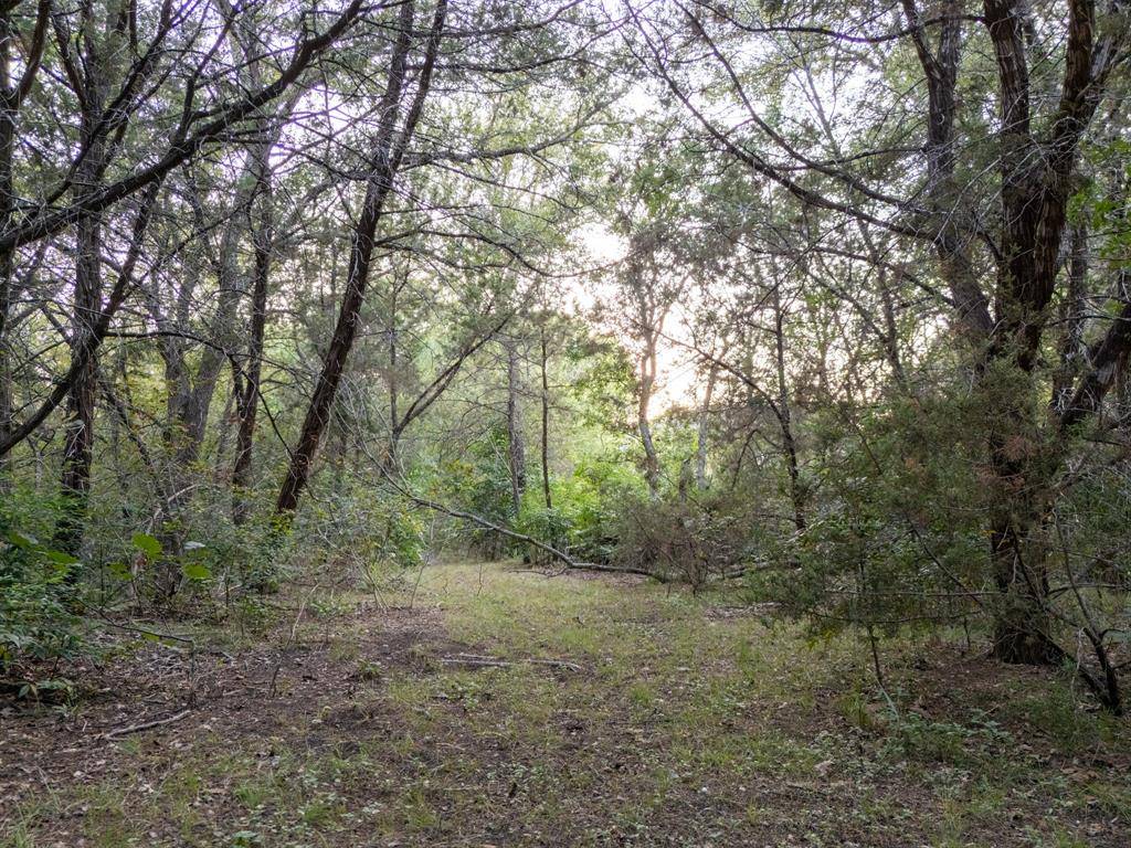 China Spring, TX 76633,TBD Woodland Circle