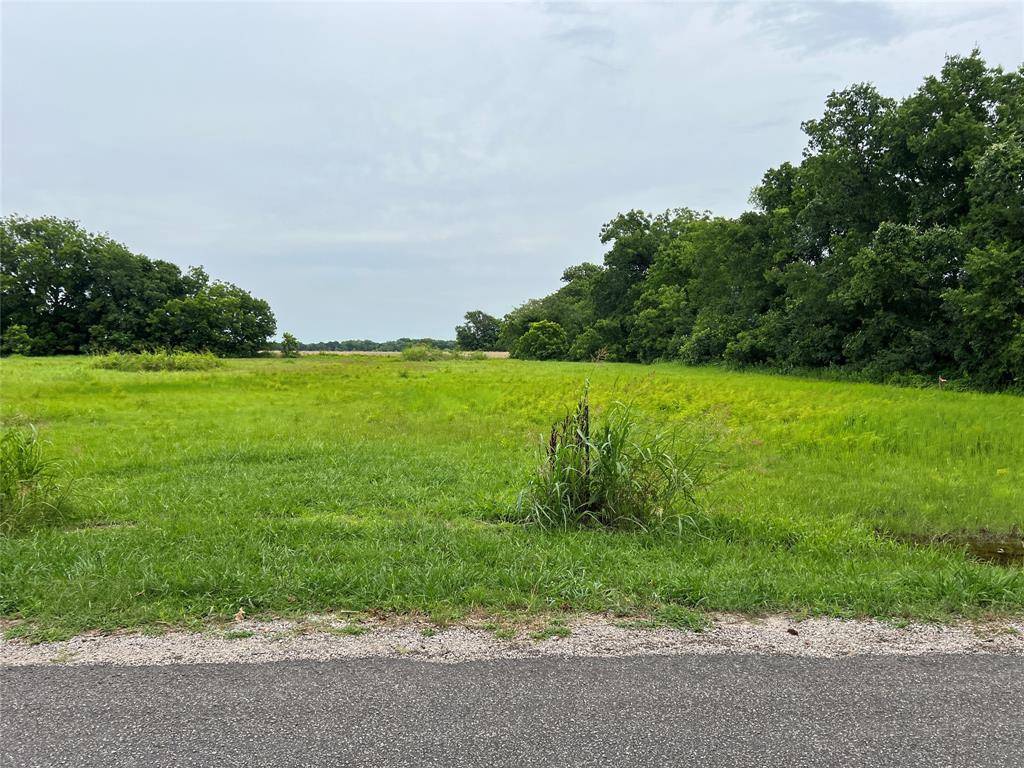 Farmersville, TX 75442,Plot 3 County Road 623