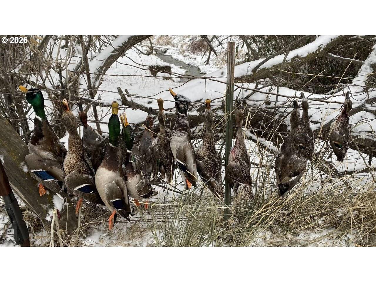 3 Parcels Hwy 730, Irrigon, OR 97844