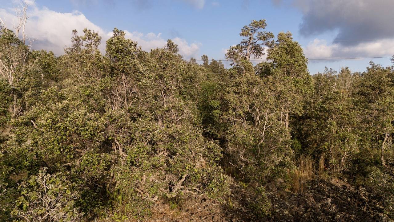 Ocean View, HI 96737,LEILANI PKWY