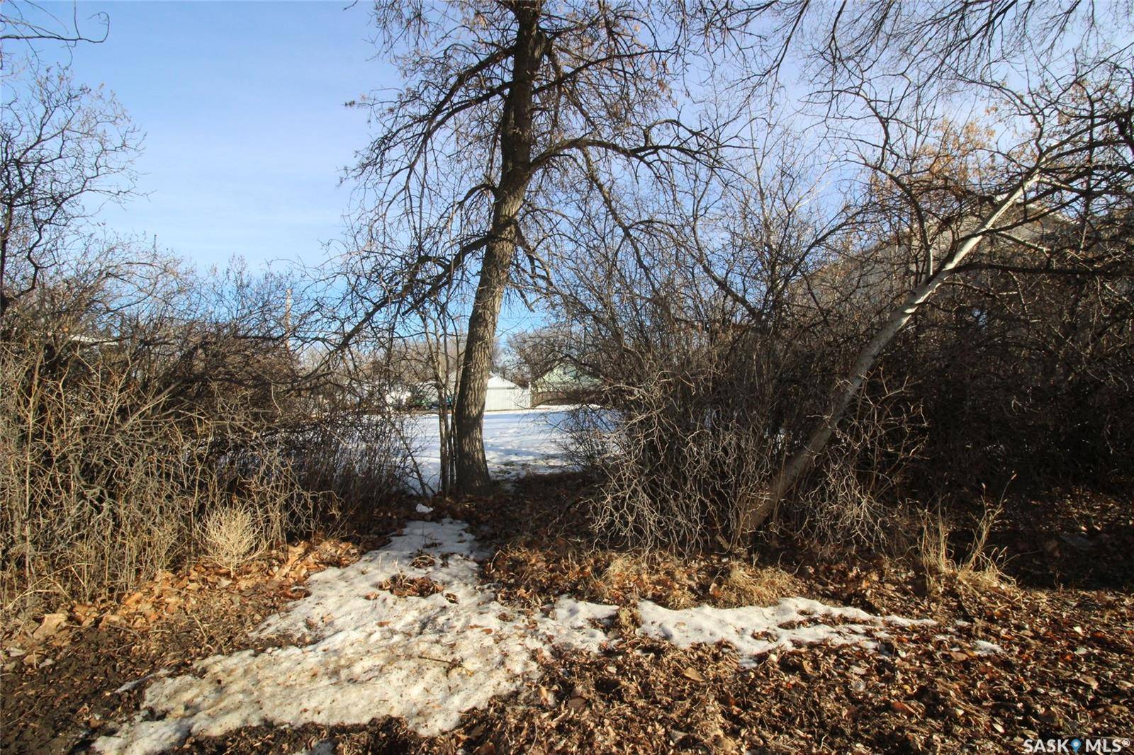 Shaunavon, SK S0N 2M0,456 3rd STREET W