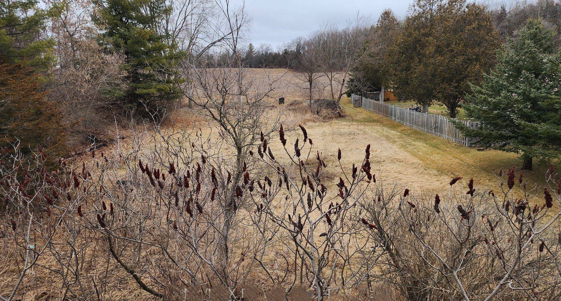 Quinte West, ON K0K 1H0,Pt Lt A Con 5 Sidney ST