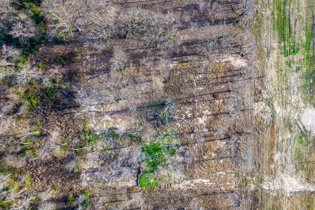 Sulphur Springs, TX 75482,1532 E 301 Loop