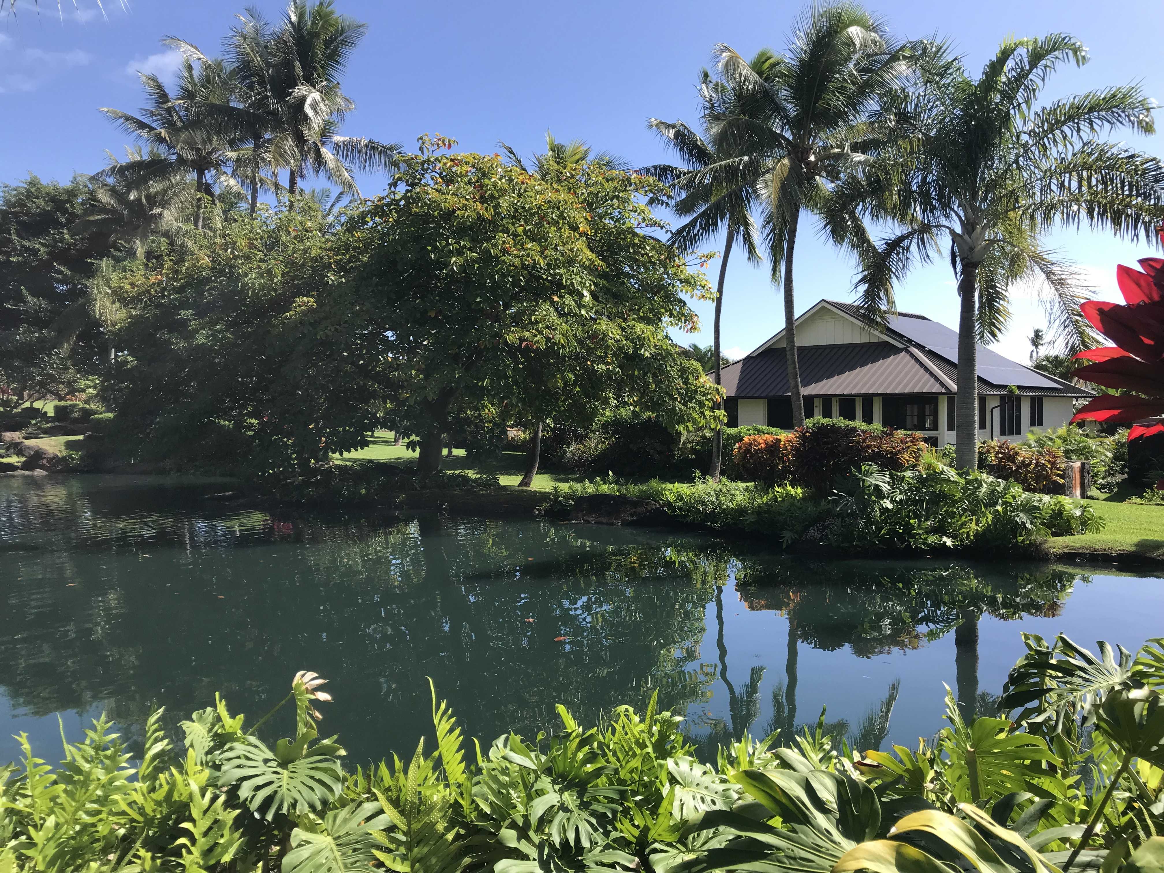 Koloa, HI 96756,5033 LAU NAHELE ST