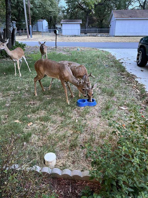 Azle, TX 76020,905 Poe Street