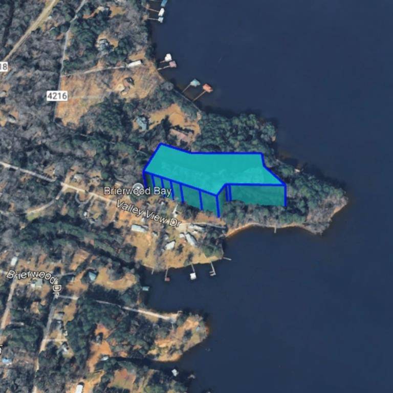 Frankston, TX 75763,TBD Carene Drive