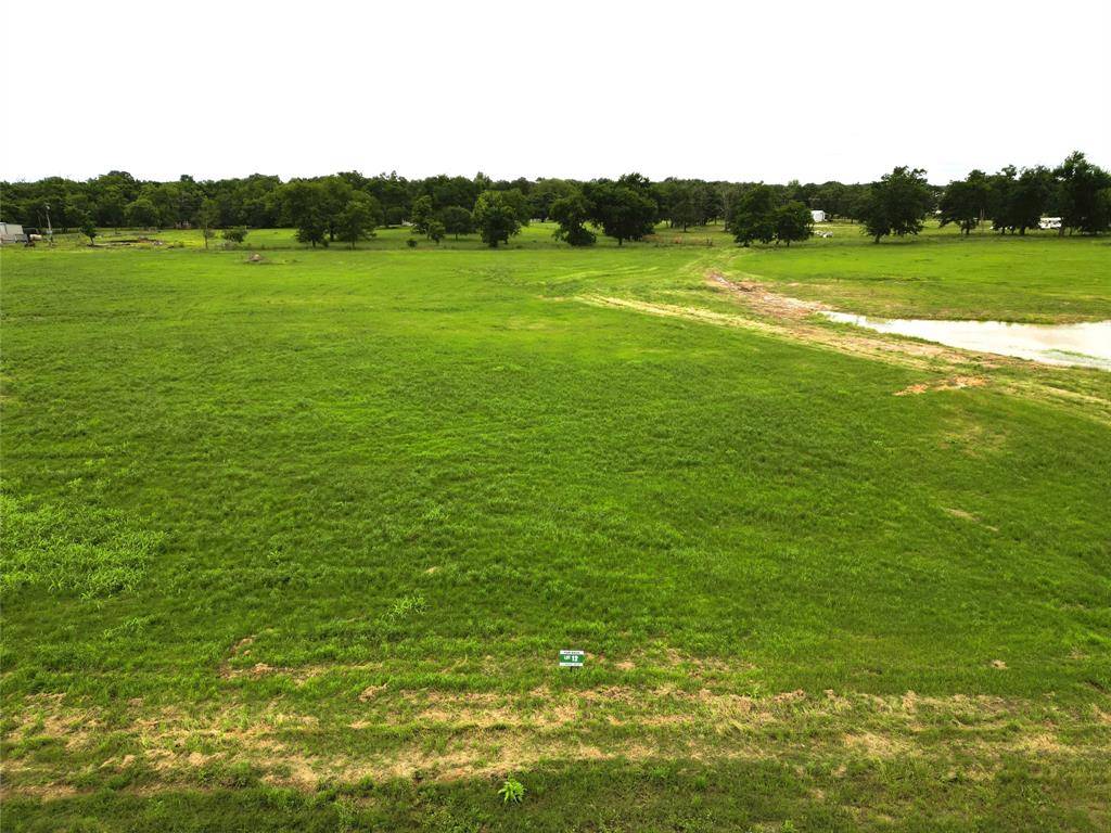 Yantis, TX 75497,Lot 12 FM 514 Road