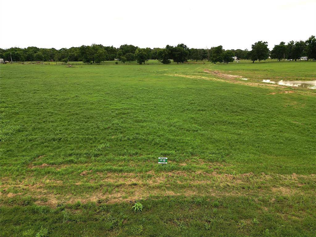 Yantis, TX 75497,Lot 12 FM 514 Road