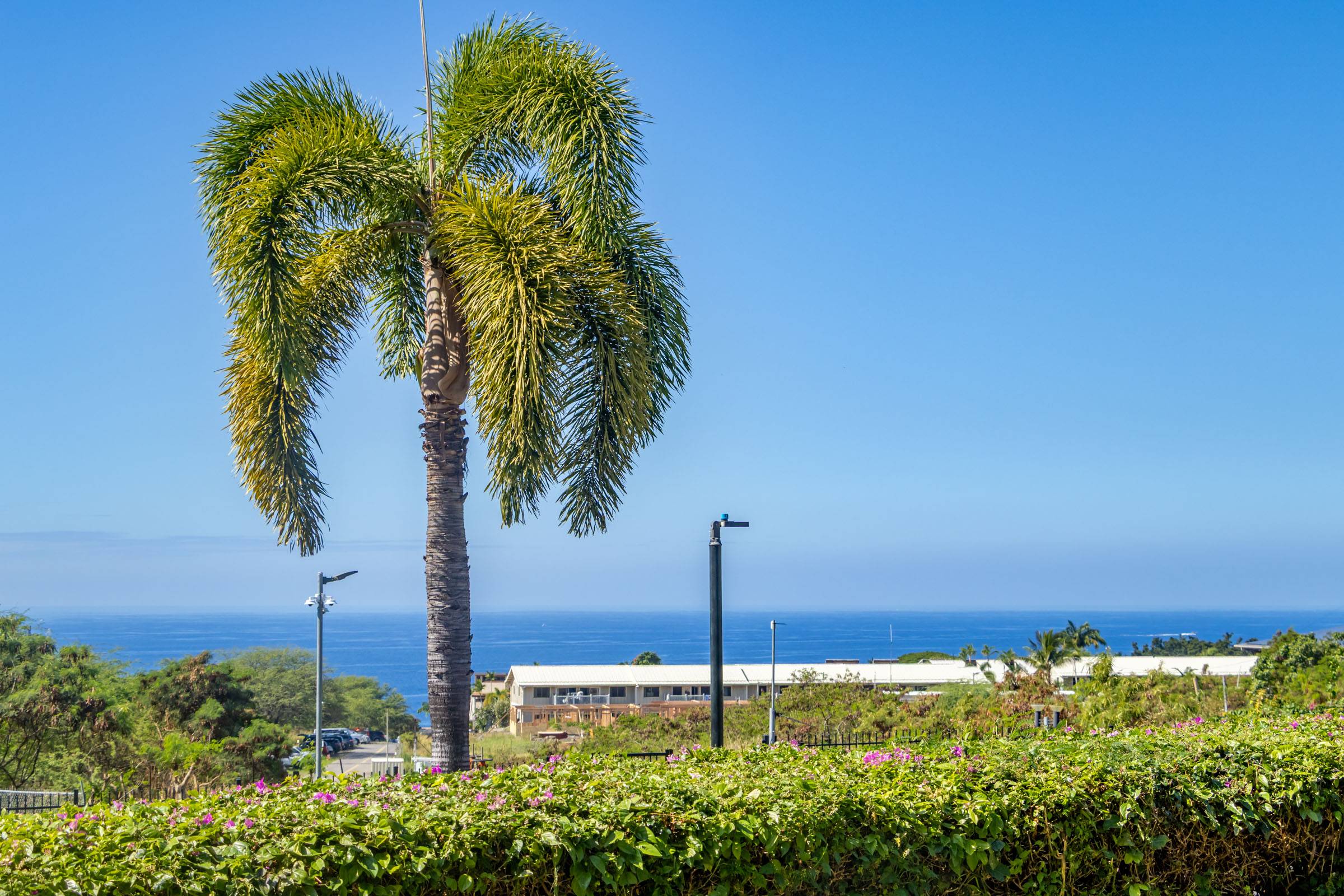 Kailua-kona, HI 96740,75-346 HUALALAI RD #E101