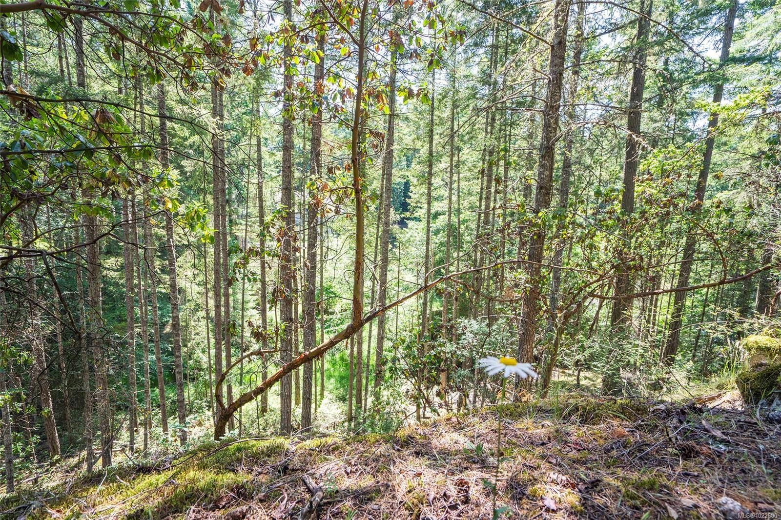 Pender Island, BC V0N 2M0,3705 Keel Cres