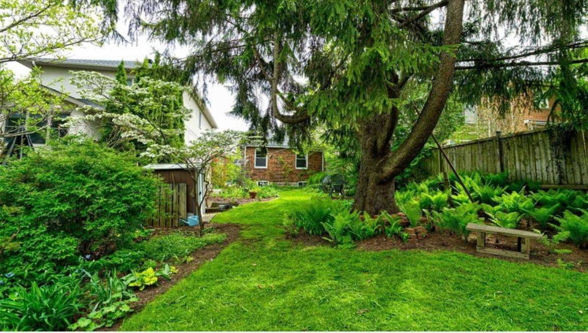 Toronto C12, ON M4P 2P2,50 Cardiff RD