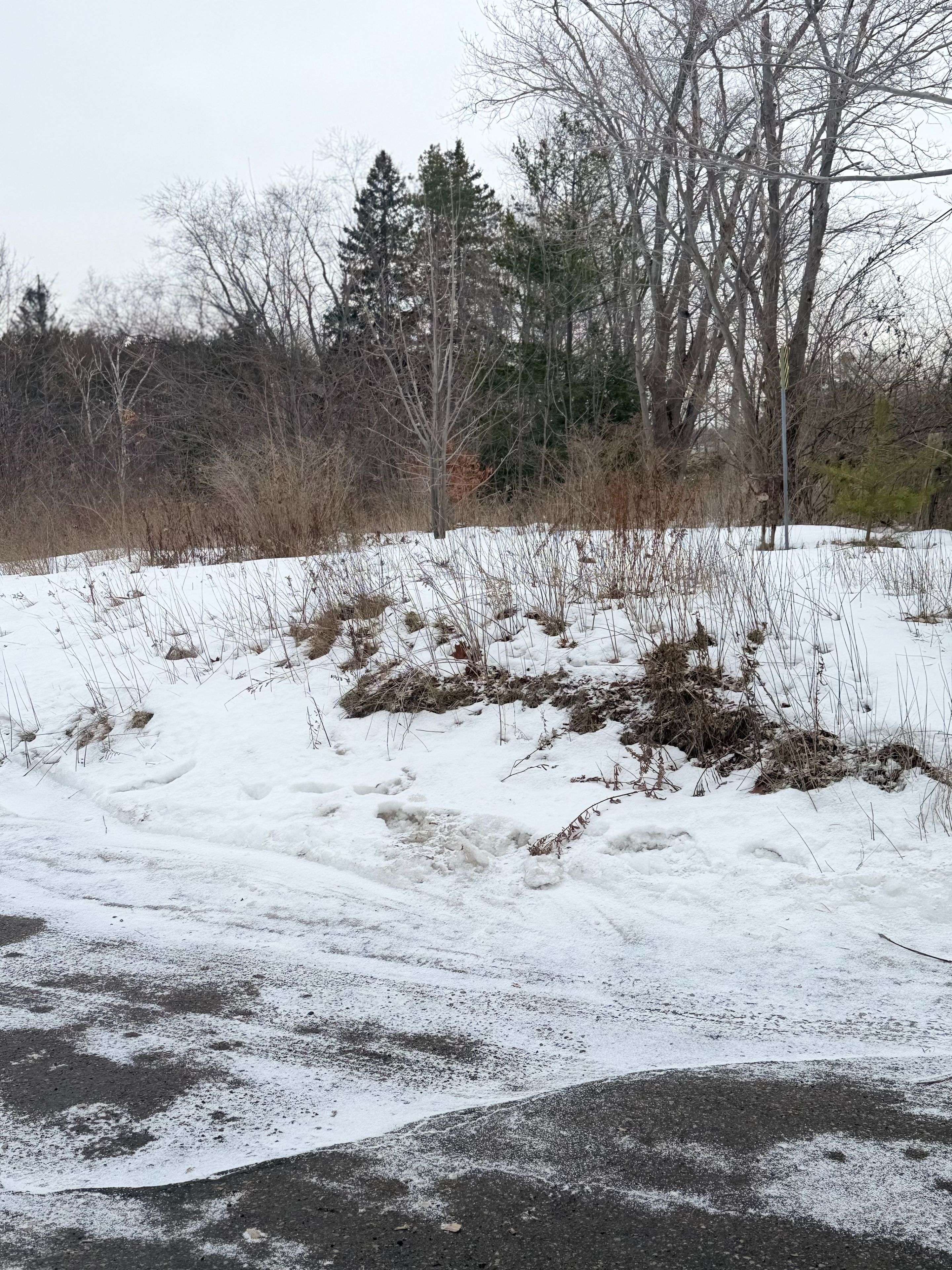 Ajax, ON L1T 4R6,649 Taunton RD W