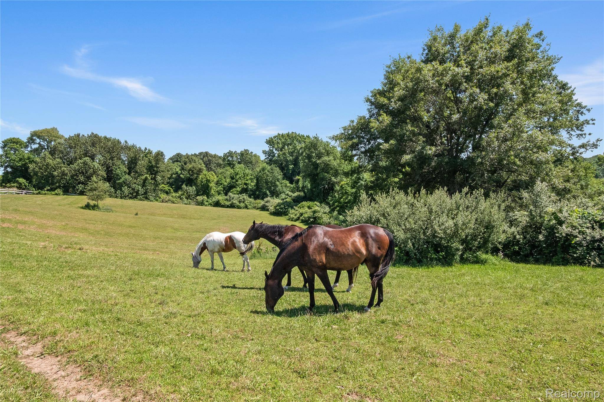 Oxford, MI 48370,5280 Hosner RD