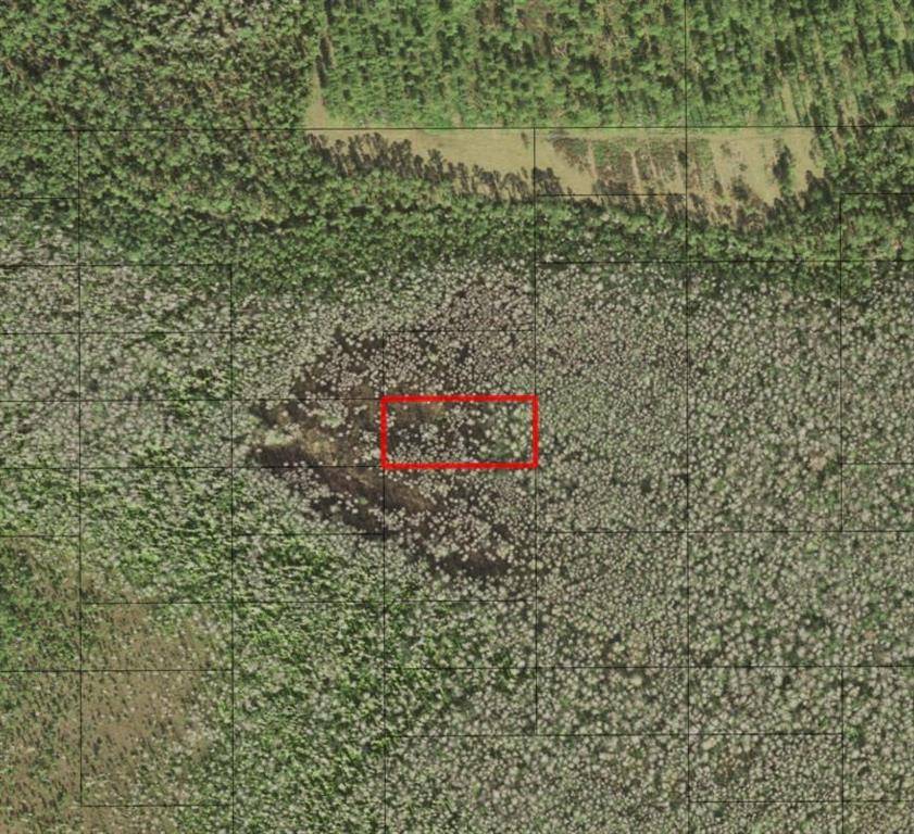 St. Cloud, FL 34772,0 HOLOPAW GROVES RD