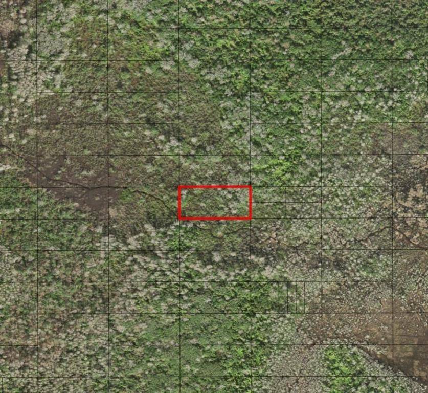 St. Cloud, FL 34772,0 HOLOPAW GROVES RD