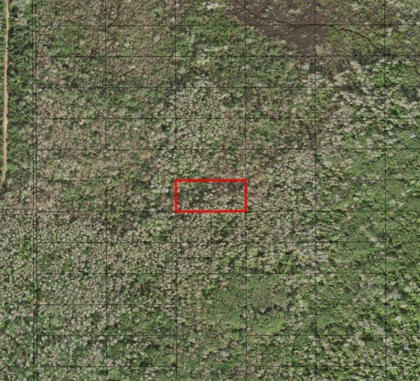 St. Cloud, FL 34772,0 HOLOPAW GROVES RD