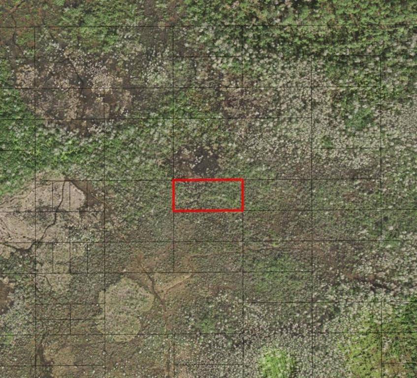 St. Cloud, FL 34772,0 HOLOPAW GROVES RD