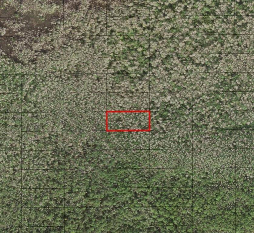 St. Cloud, FL 34772,0 HOLOPAW GROVES RD