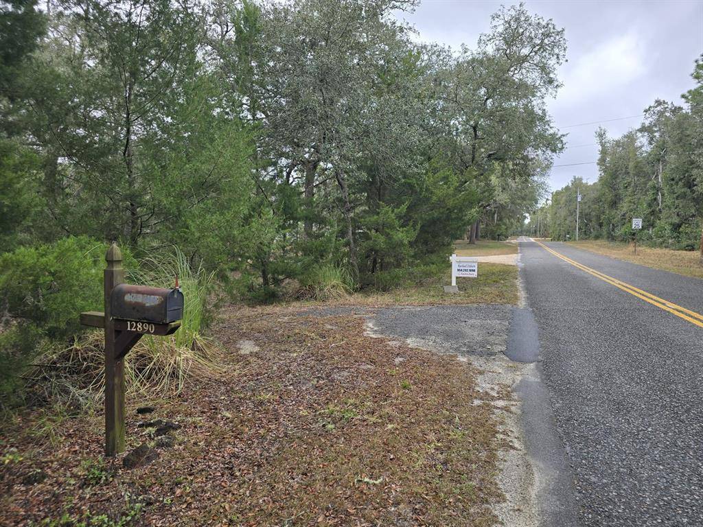 Chiefland, FL 32626,12890 NW 90TH AVE