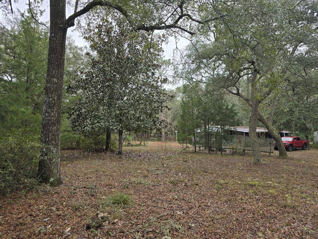 Chiefland, FL 32626,12890 NW 90TH AVE