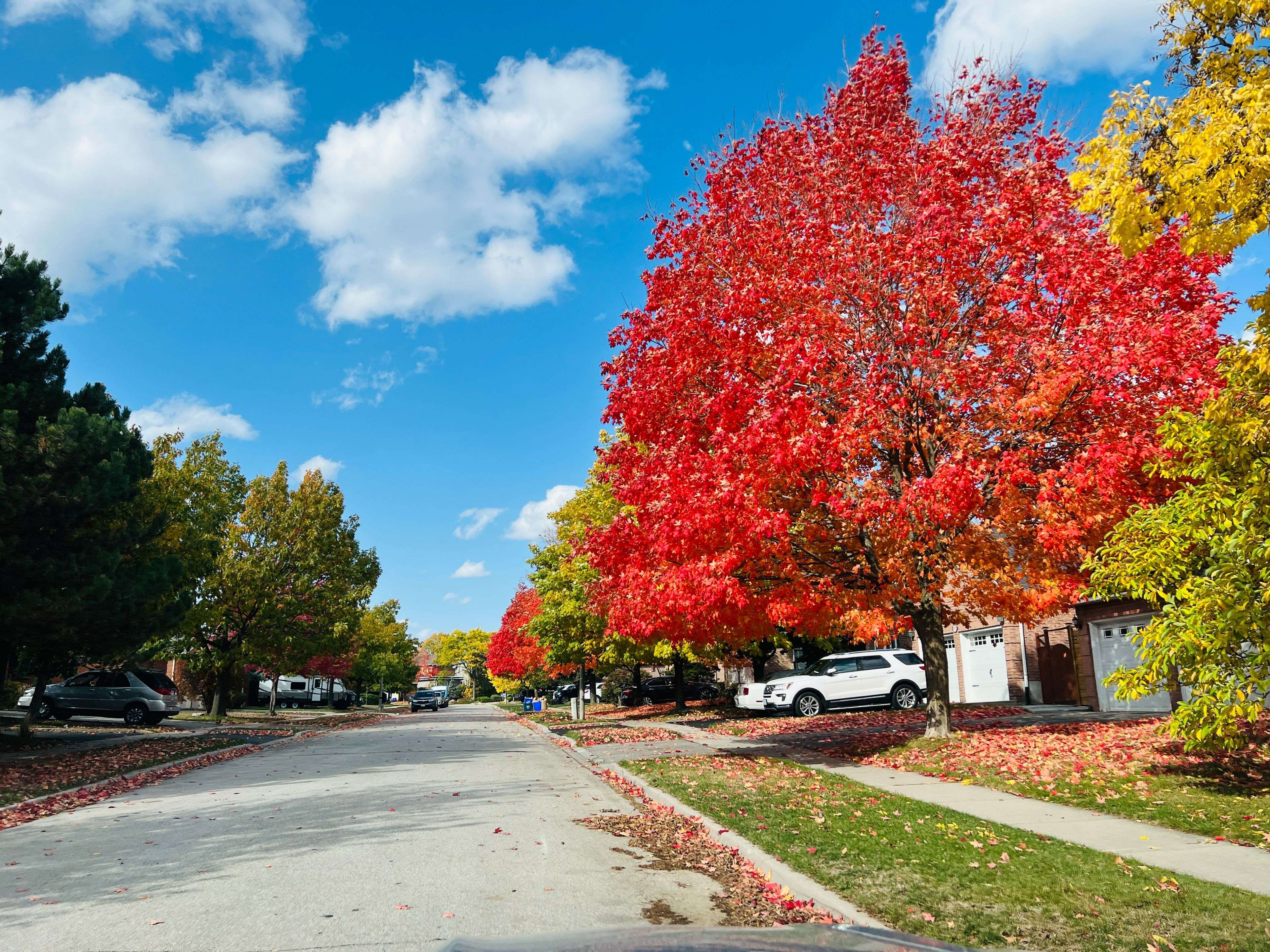 Oakville, ON L6H 5B3,2070 Castlefield CRES