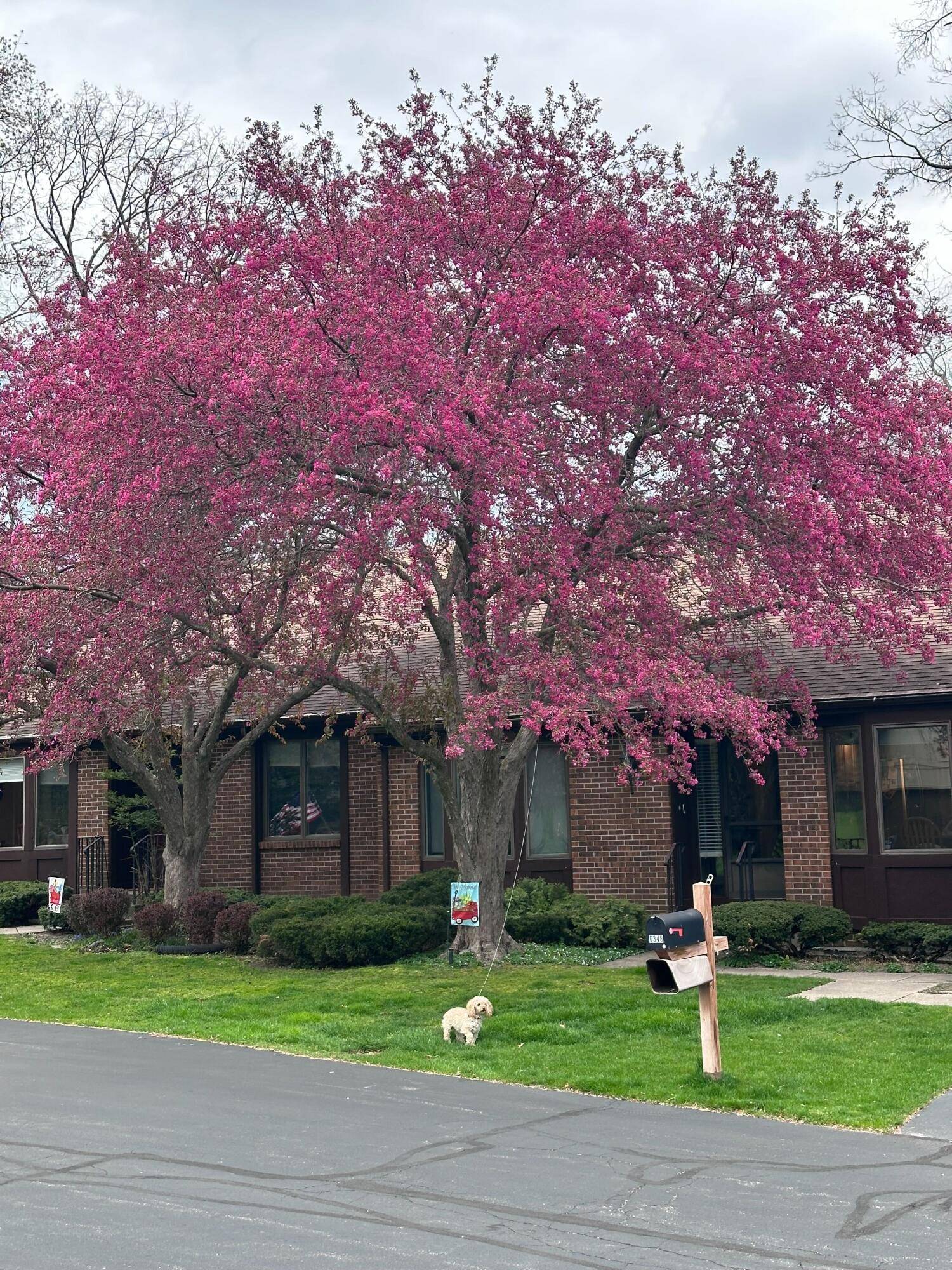 Grand Rapids, MI 49546,6348 Greenway DR SE