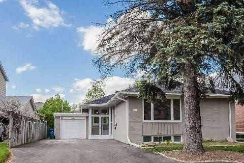 Toronto C14, ON M2M 2H1,16 Urbandale AVE #BSMT