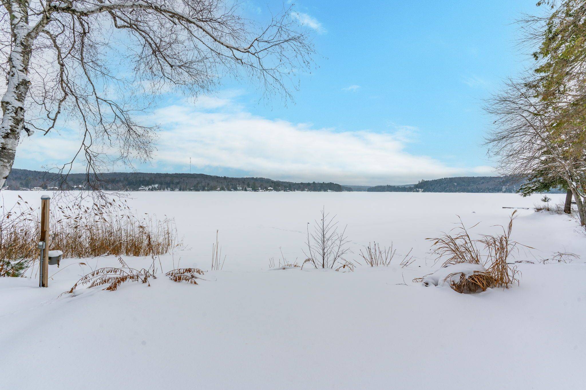 Minden Hills, ON K0M 2K0,1015 Blackberry LN