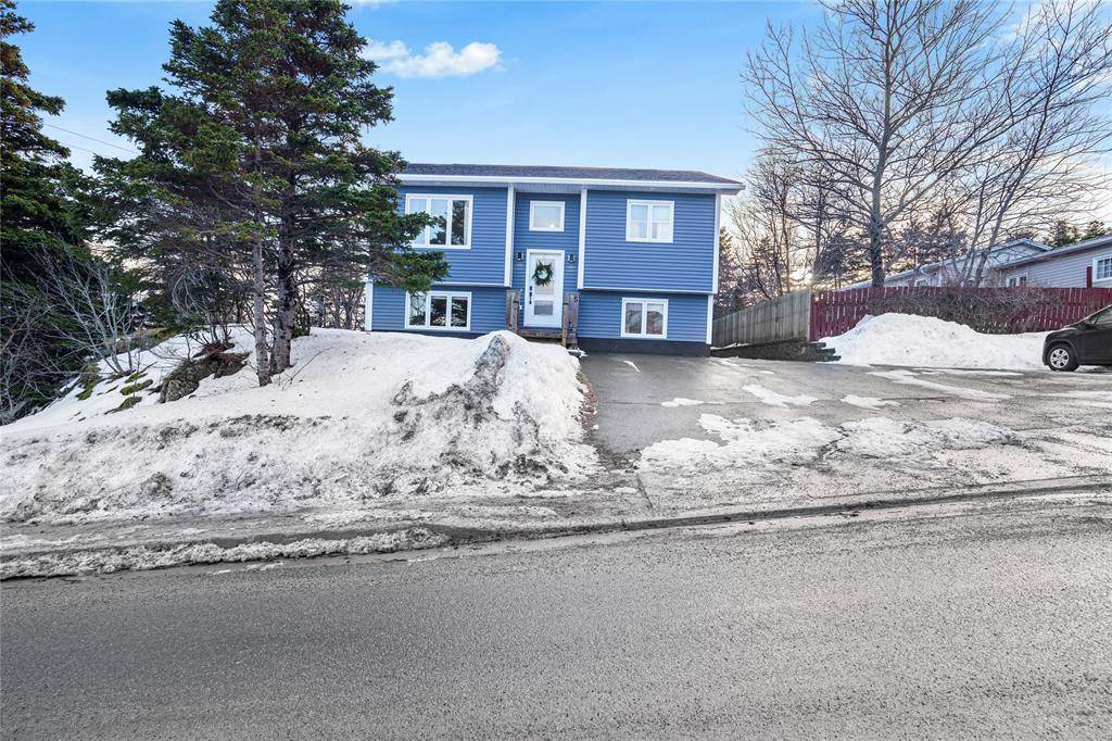 Torbay, NL A1K1B6,5 Reddy Drive