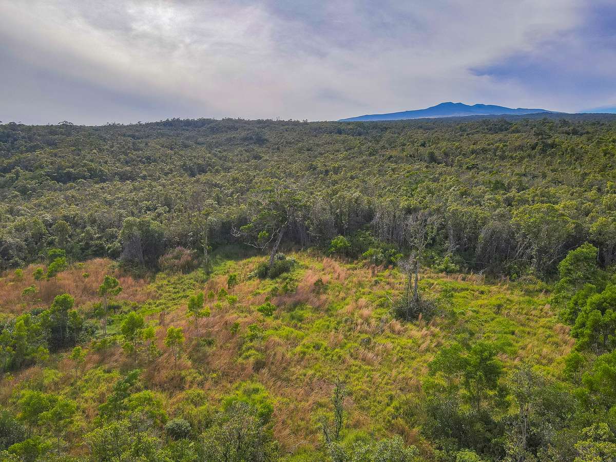 Papaaloa, HI 96780,59 Upper Maulua