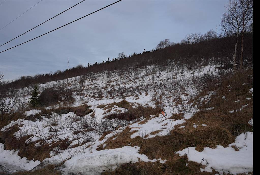 Maddox Cove, NL A0A 3H0,Lot 3 OLD MADDOX COVE Road