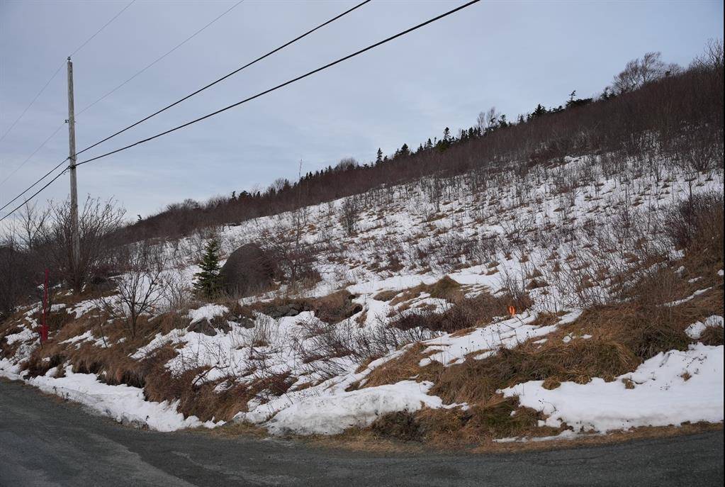 Maddox Cove, NL A0A 3H0,Lot 3 OLD MADDOX COVE Road