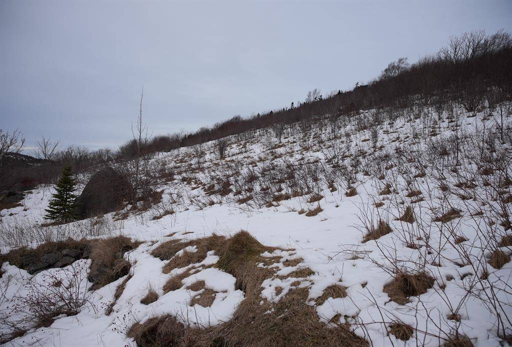 Maddox Cove, NL A0A 3H0,Lot 3 OLD MADDOX COVE Road