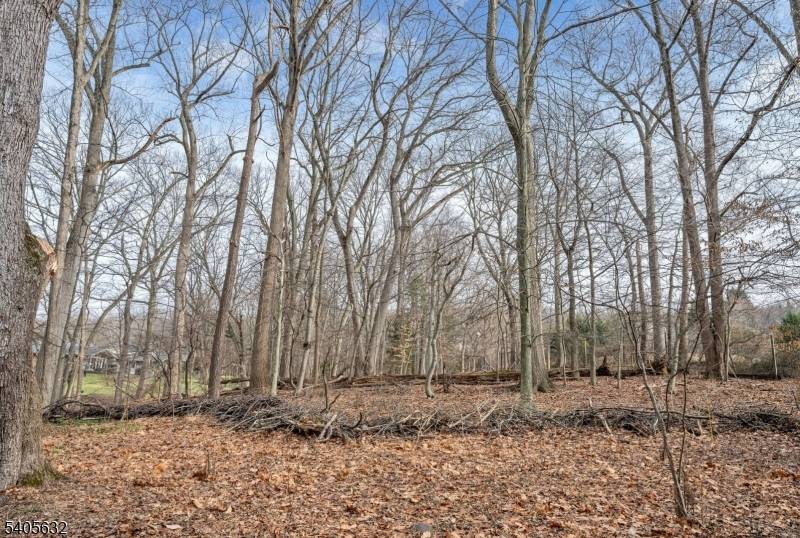 Closter Boro, NJ 07624,155 Hickory Ln