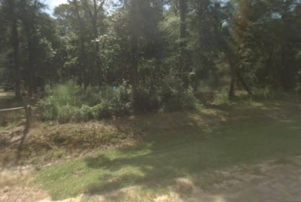 Cleveland, TX 77357,160 County Road 3563