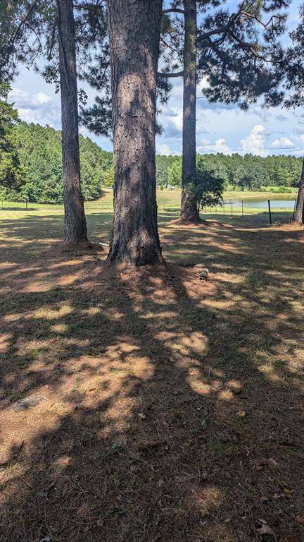 Pelican, LA 71063,294 Fishing Grounds Road