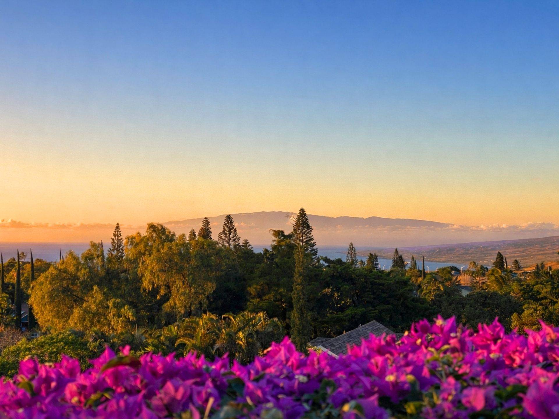 Waikoloa, HI 96738,68-1748 LAIE ST