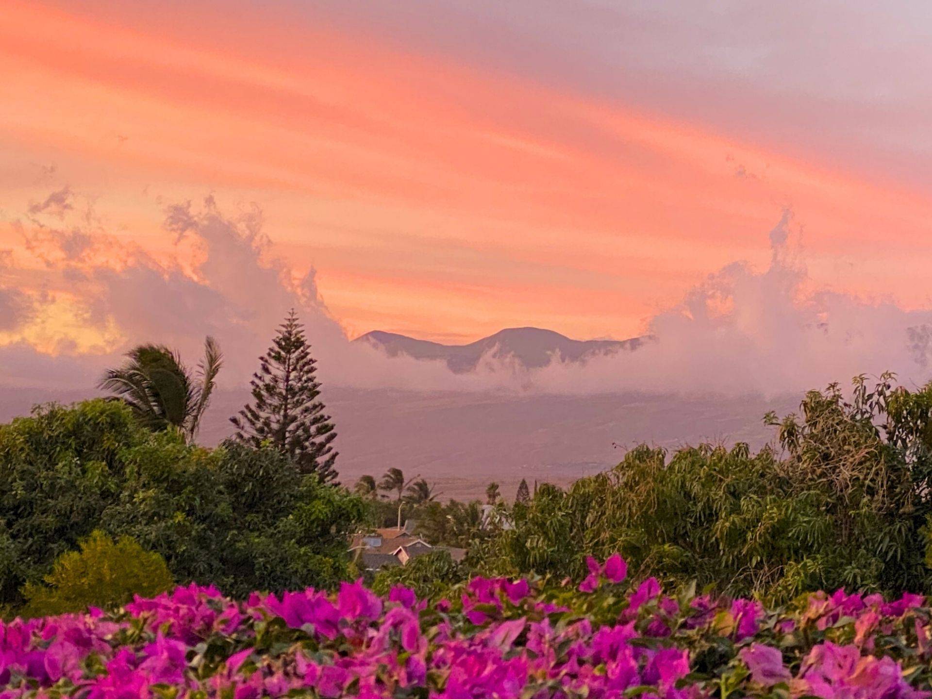 Waikoloa, HI 96738,68-1748 LAIE ST