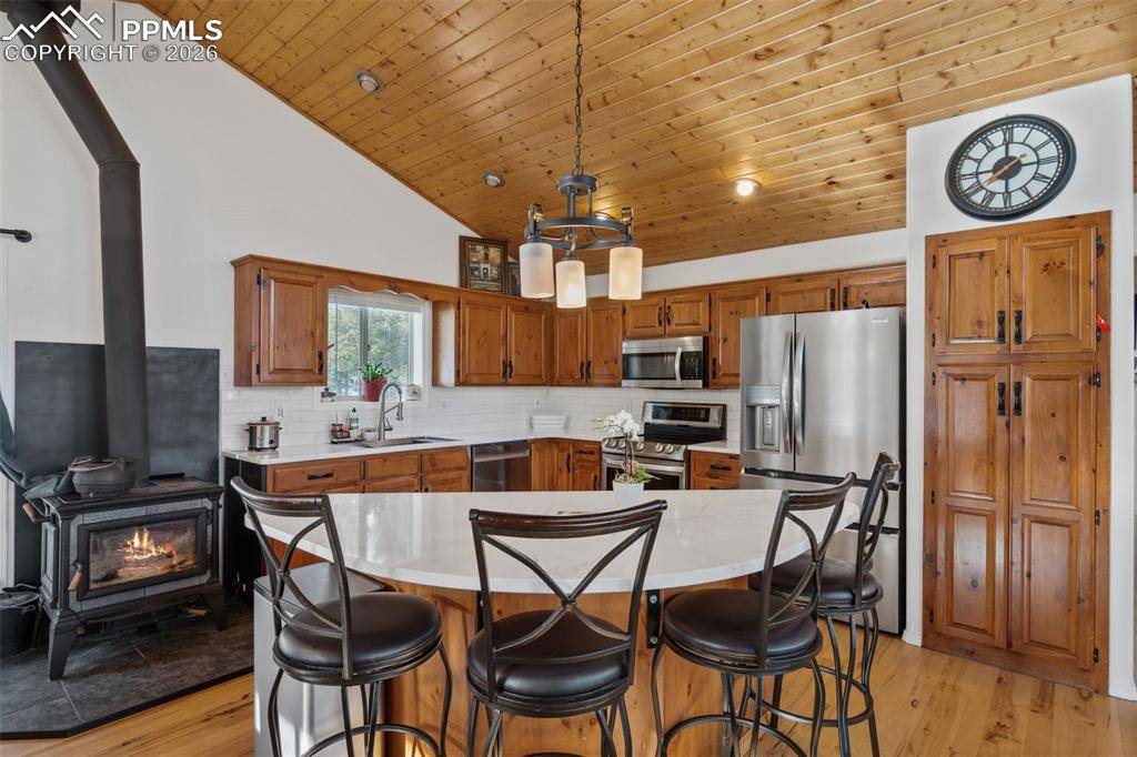 Woodland Park, CO 80863,4041 Trout Creek RD