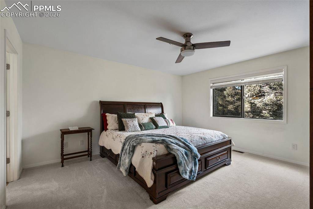 Woodland Park, CO 80863,4041 Trout Creek RD