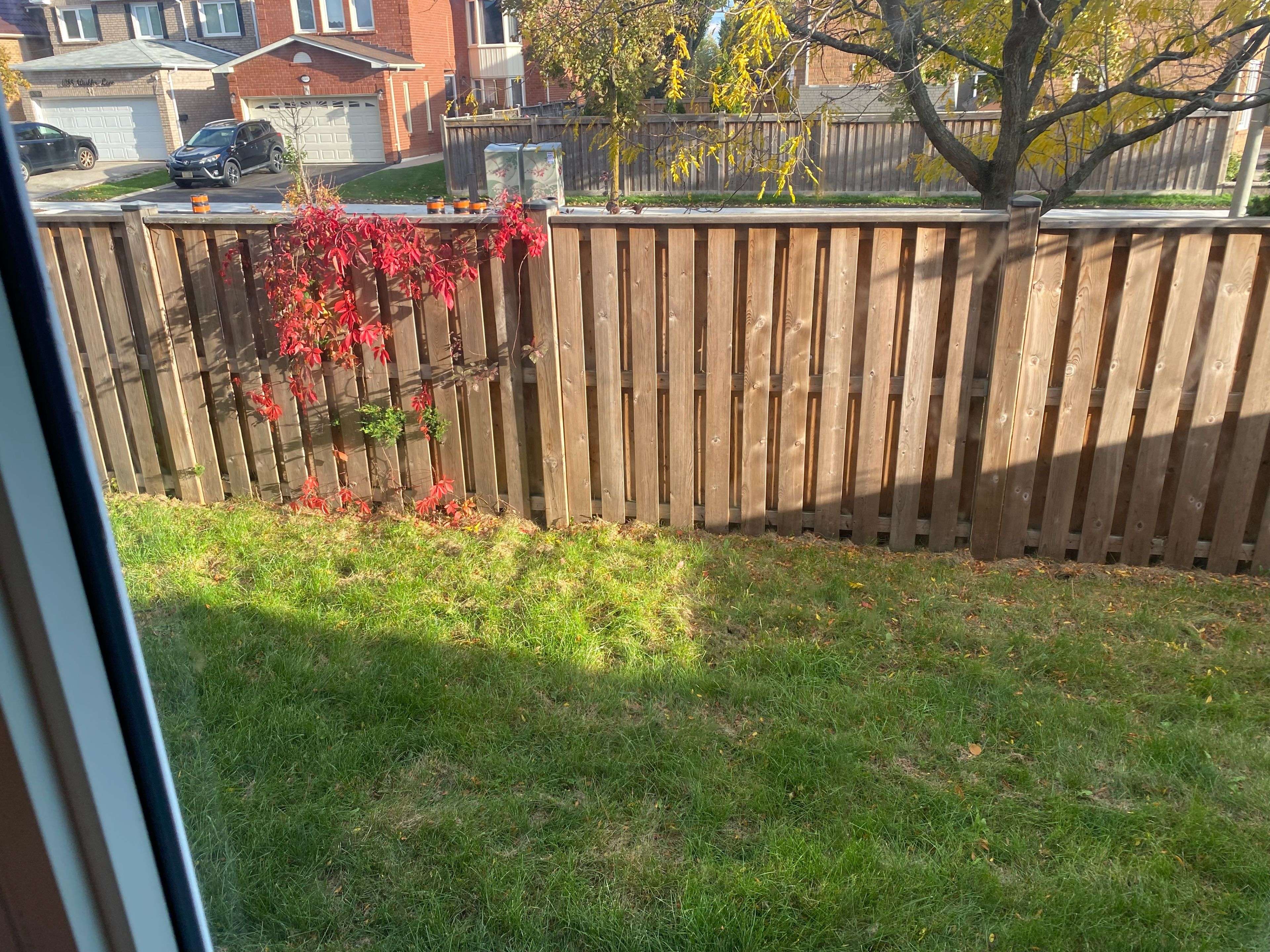 Mississauga, ON L5N 6E3,6419 Longspur RD #Basement